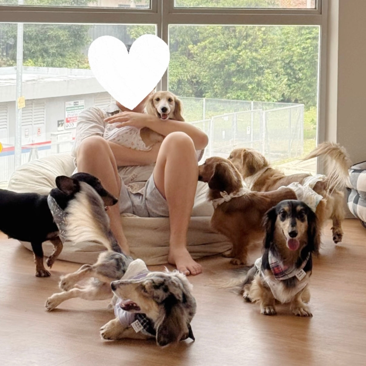 [Soft Opening RM28/pax]  🐾Dachshund Pet Cafe Mount Austin