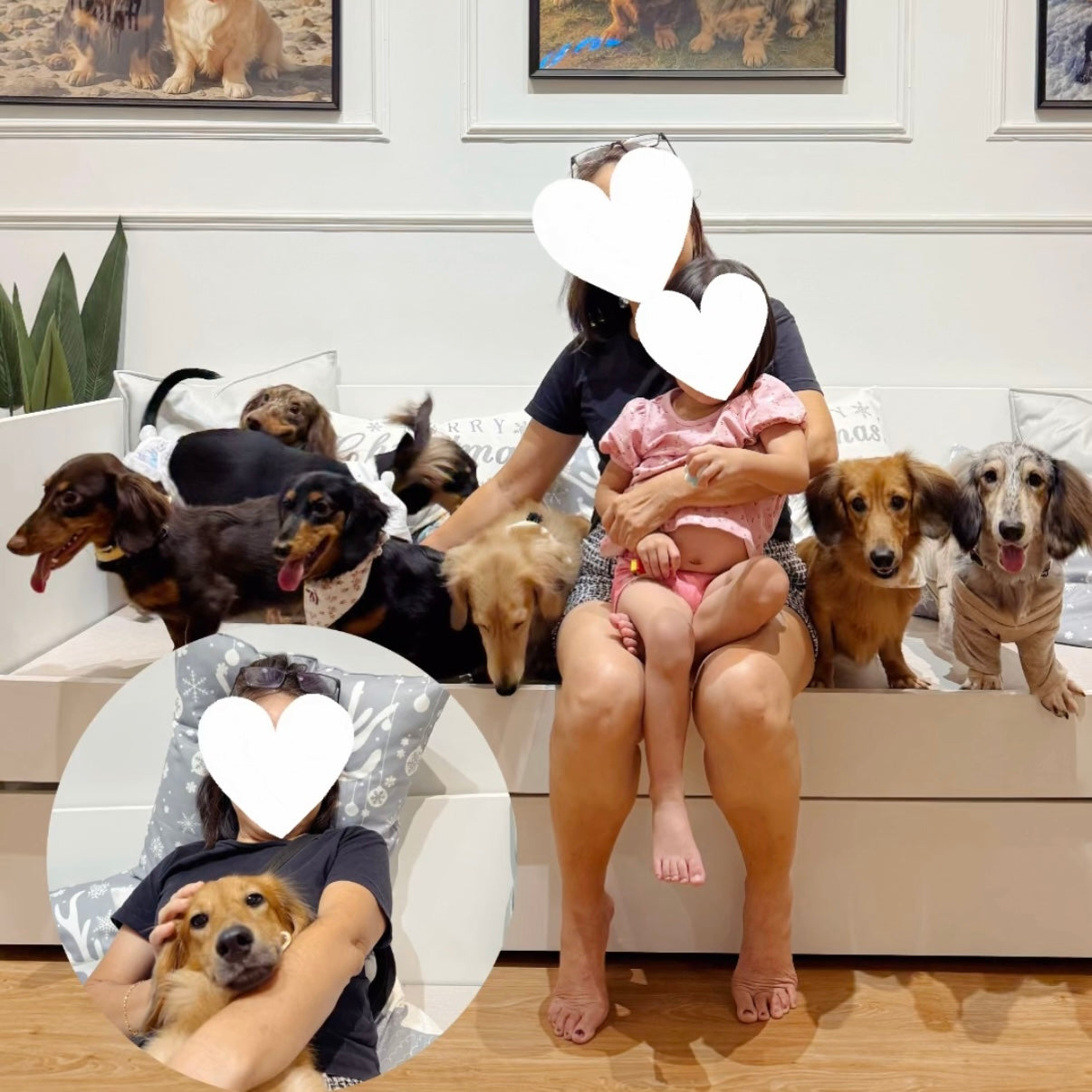 [Soft Opening RM28/pax]  🐾Dachshund Pet Cafe Mount Austin