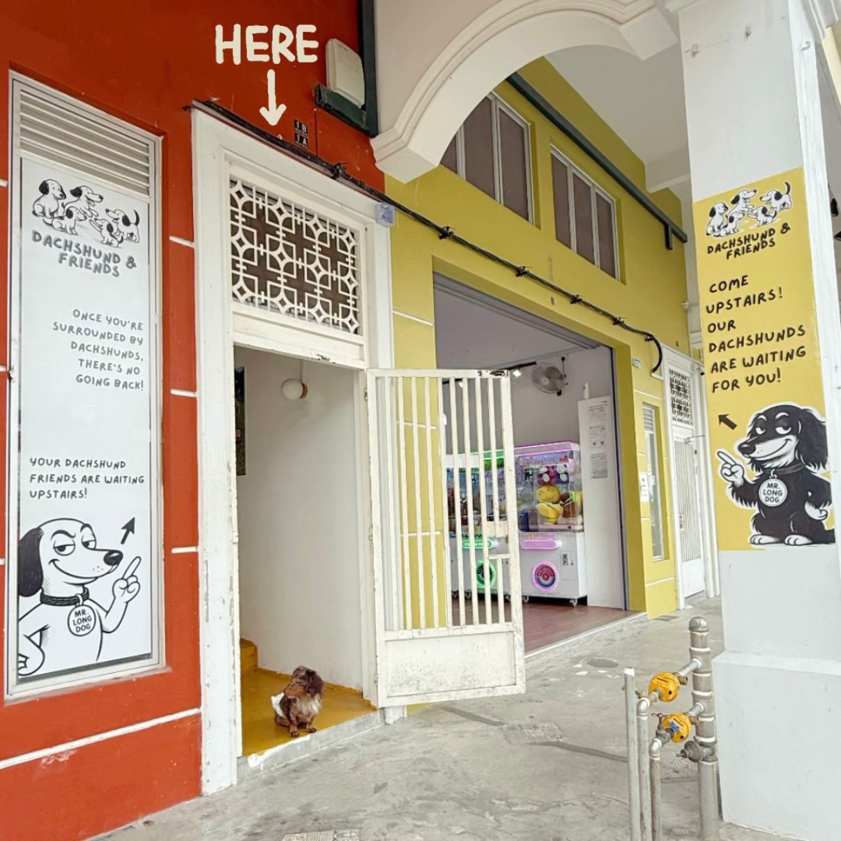 [Soft Opening RM28/pax]  🐾Dachshund Pet Cafe Mount Austin